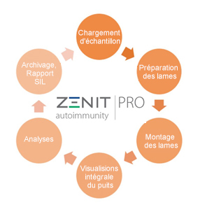 zenit-pro-workflow-francese637190760517362003 zenit-pro-workflow-francese637190760517362003