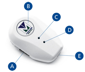 Menarini Diagnostics - GlucoLog B.T. Device